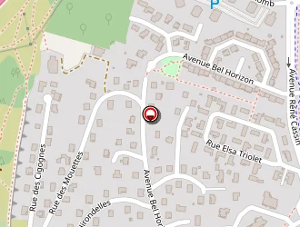 Carte de Biller Gilles à Mâcon