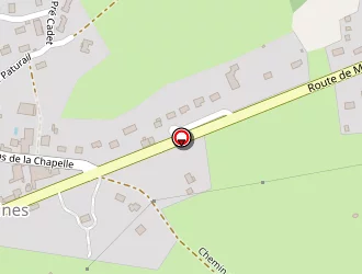 Carte de Dedenis Vincent à Quinssaines