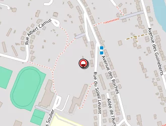 Carte de Depeige David à Montluçon