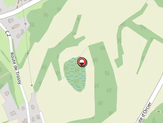 Carte de Giraud Dominique à Lyaud