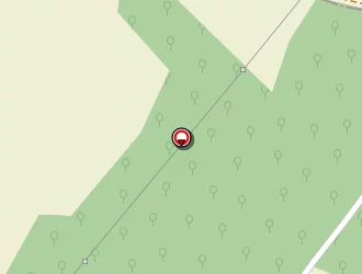 Carte de Berthelot Olivier à Rom