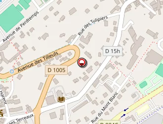 Carte de Santina Martial à Gex