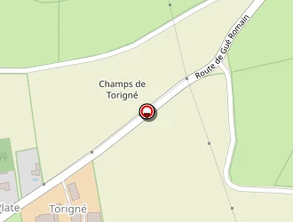 Carte de Proust Joël à Coulon