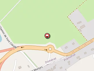 Carte de Nizier Josiane à Domérat