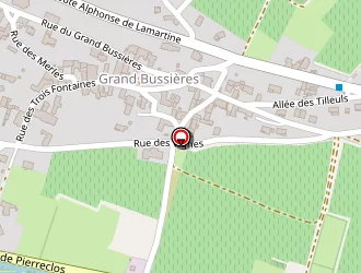 Carte de Petit Ghislaine à Bussières