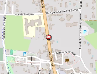 Carte de Richard Fabrice à Montrevel-en-bresse