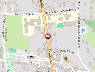 Carte de Aux Milles Et Une Pizzas à Montrevel-en-bresse