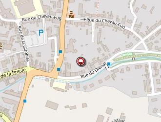 Carte de Larose Georges à Montluçon