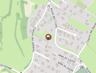 Carte de Taxi Evasion à Lyaud