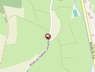 Carte de Restaurant O Lac à Saint-point