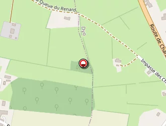 Carte de Schlumberger Rachel à Dyo