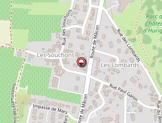 Carte de Lez'arts Cameleon à Hurigny