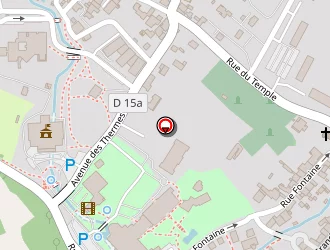 Carte de Azur Fleurs à Divonne-les-bains