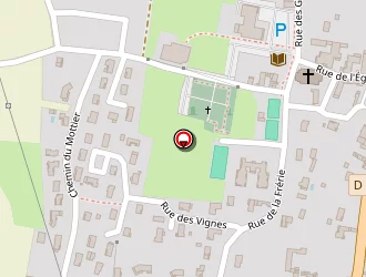 Carte de Nillon Pierre à Manziat