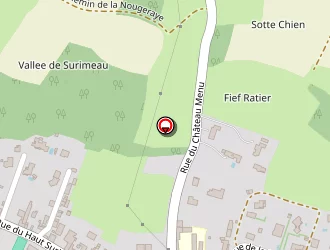 Carte de Auzenet Pierre à Niort