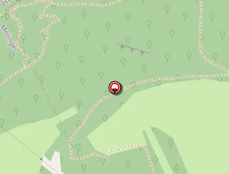 Carte de Bornarel Electricité à Molinges