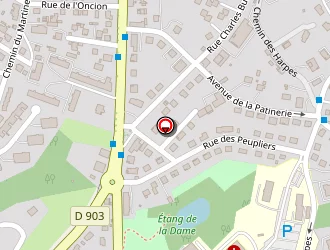 Carte de Austral Electricité à Thonon-les-bains