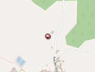 Carte de Segeau Patrick à Saulgé