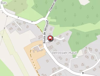 Carte de Goyet Didier à Larringes