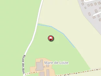 Carte de Grand Champ (g.a.e.c) à Jayat