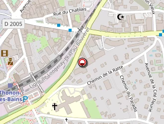 Carte de Petrel Jean à Thonon-les-bains