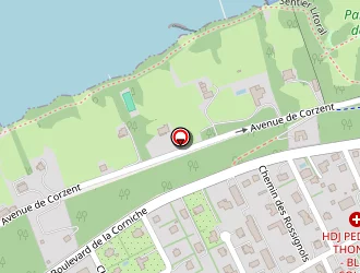 Carte de Duret Michel à Thonon-les-bains