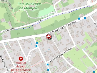 Carte de Lesage Victor à Thonon-les-bains