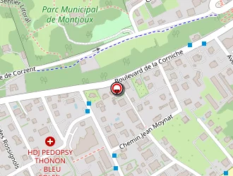 Carte de Rossollin Lenaik à Thonon-les-bains