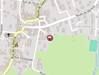 Carte de Curt Patrick (ets) à Foissiat