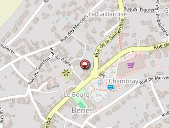 Carte de Pulsat Guy Renoux Adhérent à Benet