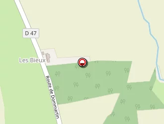 Carte de France Plafond 01 à Feillens