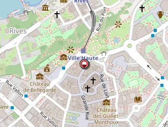 Carte de Minelli à Thonon-les-bains