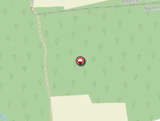 Carte de Les Bois D'anche à Anché