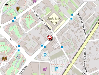 Carte de Abdel Naby El Sayed à Thonon-les-bains