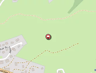 Carte de La Michaille à Lajoux