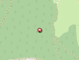 Carte de Jannin Roland à Bourgvilain