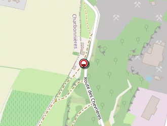 Carte de S.l.t.s à Saint-martin-belle-roche