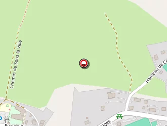 Carte de Maurice Rémi Chauffage à Saint-paul-en-chablais