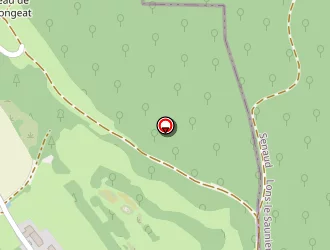 Carte de Carole Coiffure à Coligny