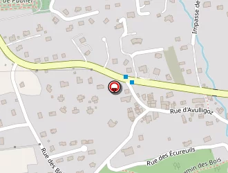 Carte de Bondaz Rachel à Publier