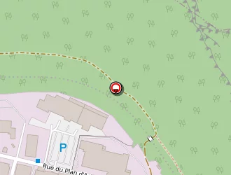 Carte de Curtil à Saint-claude