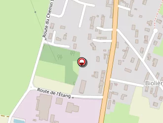 Carte de Chevalier Michel à Ozan