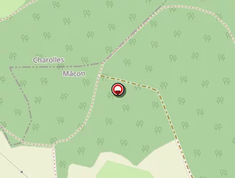 Carte de Guichard Jean-luc à Verosvres