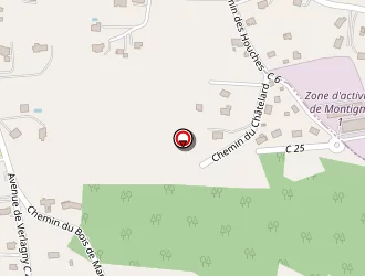 Carte de Parcours Sante à Neuvecelle