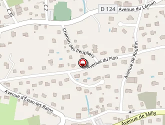 Carte de Le Saloon à Neuvecelle