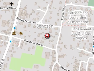 Carte de Méchin Paul à Senozan