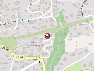 Carte de Paccot Virginie à Neuvecelle