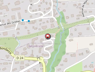 Carte de Leveille Laëtitia à Neuvecelle