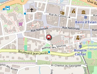 Carte de Gavillet Hervé à Évian-les-bains