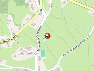 Carte de Augros Michel à Bergesserin